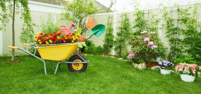 Comment embellir son jardin ?