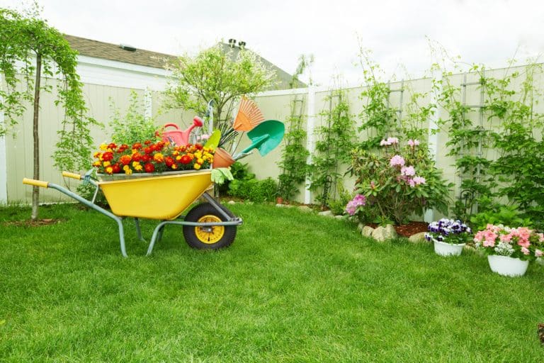 jardin